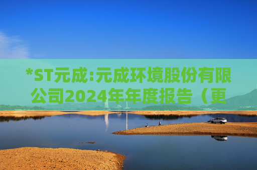 *ST元成:元成环境股份有限公司2024年年度报告（更正后）