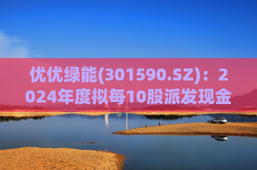 优优绿能(301590.SZ)：2024年度拟每10股派发现金红利12元