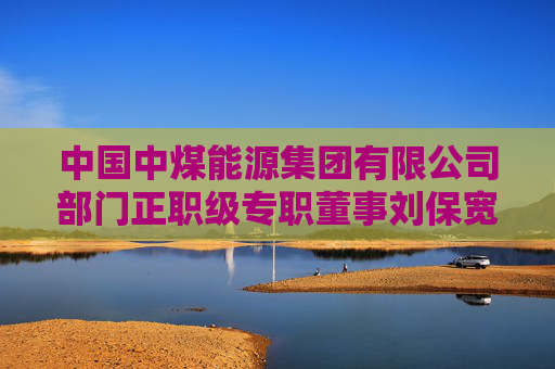 中国中煤能源集团有限公司部门正职级专职董事刘保宽被查