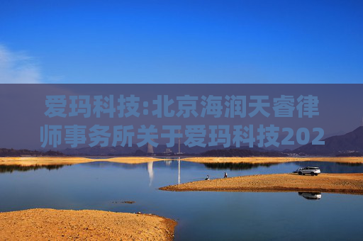 爱玛科技:北京海润天睿律师事务所关于爱玛科技2025年第一次临时股东大会的法律意见书