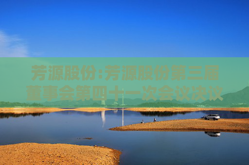 芳源股份:芳源股份第三届董事会第四十一次会议决议公告