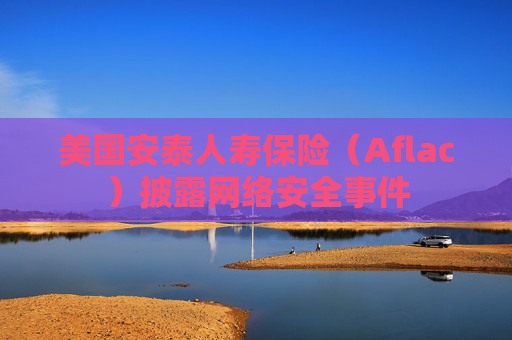 美国安泰人寿保险（Aflac）披露网络安全事件