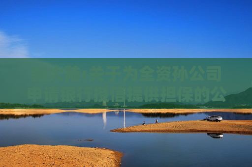 新大陆:关于为全资孙公司申请银行授信提供担保的公告