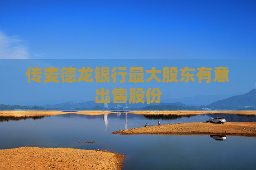 传麦德龙银行最大股东有意出售股份