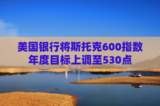 美国银行将斯托克600指数年度目标上调至530点