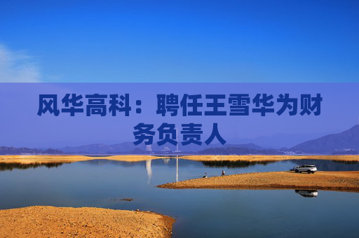 风华高科：聘任王雪华为财务负责人