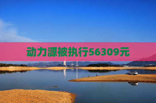 动力源被执行56309元