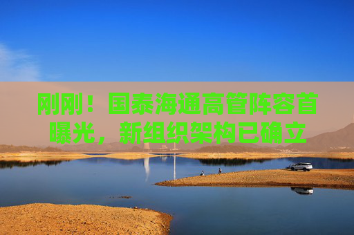 刚刚！国泰海通高管阵容首曝光，新组织架构已确立  第1张