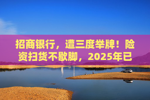 招商银行，遭三度举牌！险资扫货不歇脚，2025年已有13家上市公司被险资举牌