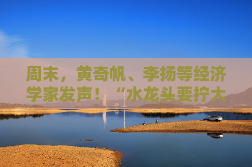 周末，黄奇帆、李扬等经济学家发声！“水龙头要拧大，输水管要畅通”