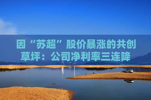 因“苏超”股价暴涨的共创草坪：公司净利率三连降