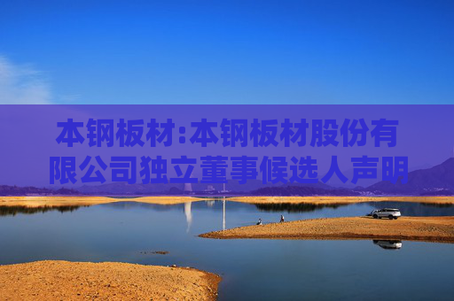 本钢板材:本钢板材股份有限公司独立董事候选人声明与承诺（张广宁）