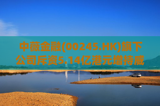 中薇金融(00245.HK)旗下公司斥资5.14亿港元增持威驰腾集团 强化新能源商用车产业链