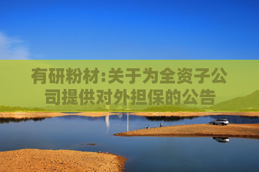 有研粉材:关于为全资子公司提供对外担保的公告