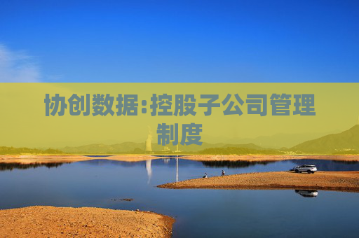 协创数据:控股子公司管理制度