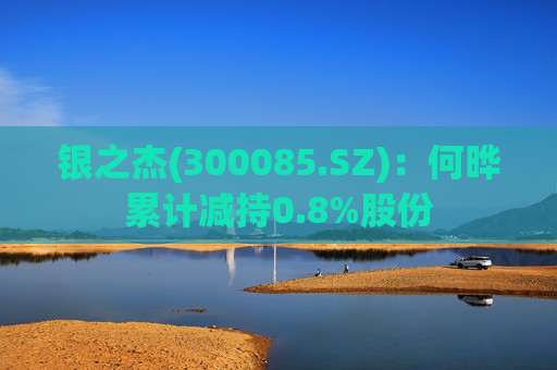 银之杰(300085.SZ)：何晔累计减持0.8%股份
