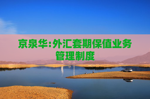 京泉华:外汇套期保值业务管理制度