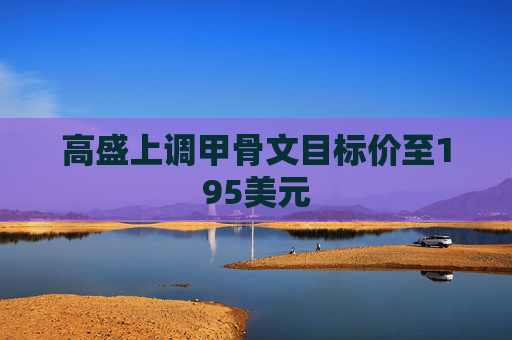 高盛上调甲骨文目标价至195美元