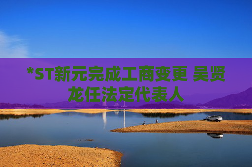 *ST新元完成工商变更 吴贤龙任法定代表人