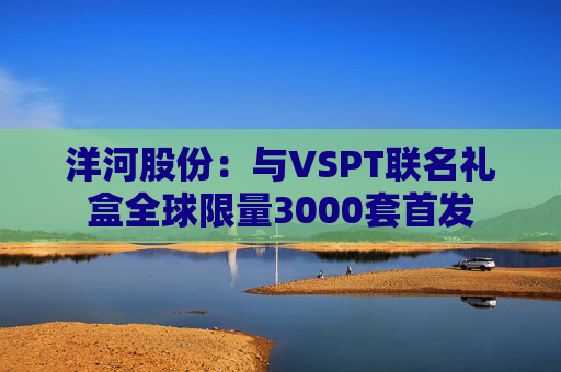 洋河股份：与VSPT联名礼盒全球限量3000套首发