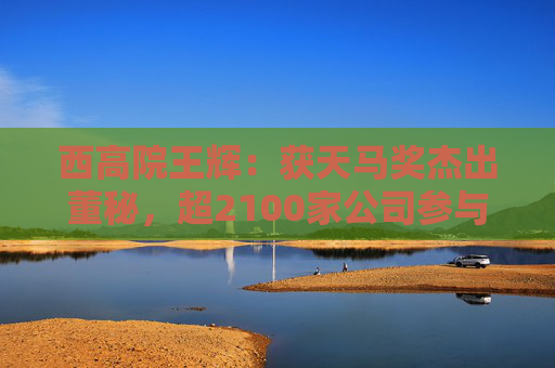 西高院王辉：获天马奖杰出董秘，超2100家公司参与