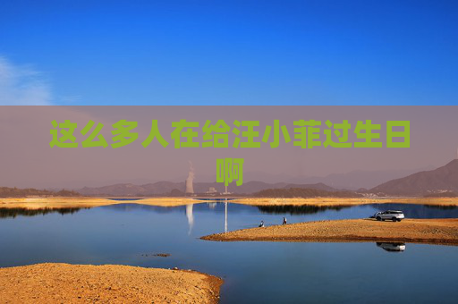这么多人在给汪小菲过生日啊