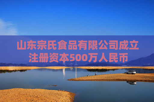 山东宗氏食品有限公司成立 注册资本500万人民币  第1张