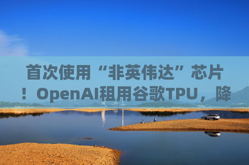 首次使用“非英伟达”芯片！OpenAI租用谷歌TPU，降低推理计算成本