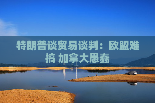特朗普谈贸易谈判：欧盟难搞 加拿大愚蠢