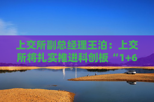 上交所副总经理王泊：上交所将扎实推进科创板“1+6”改革举措和示范案例落实落地