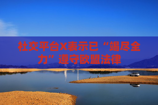 社交平台X表示已“竭尽全力”遵守欧盟法律