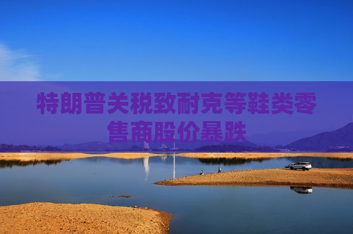 特朗普关税致耐克等鞋类零售商股价暴跌