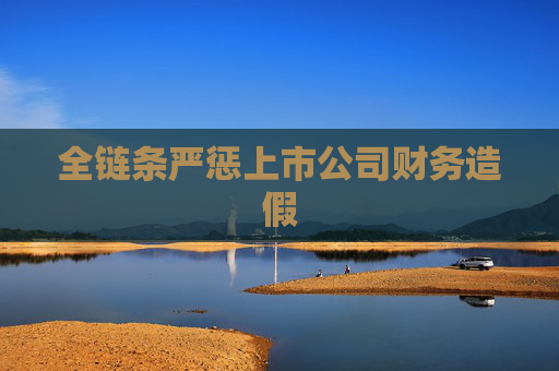 全链条严惩上市公司财务造假