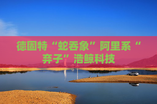 德固特“蛇吞象”阿里系“弃子”浩鲸科技