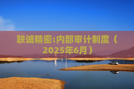 联诚精密:内部审计制度（2025年6月）