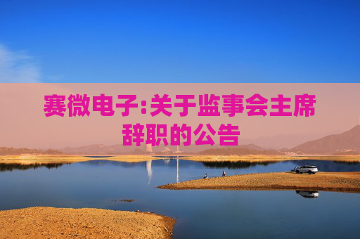 赛微电子:关于监事会主席辞职的公告