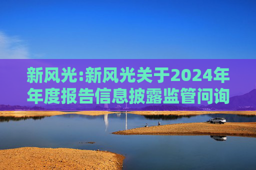 新风光:新风光关于2024年年度报告信息披露监管问询函的回复公告