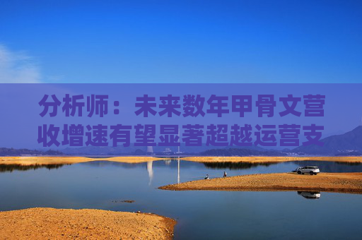 分析师：未来数年甲骨文营收增速有望显著超越运营支出