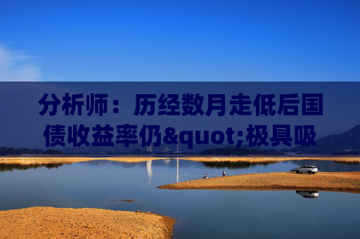 分析师：历经数月走低后国债收益率仍"极具吸引力"