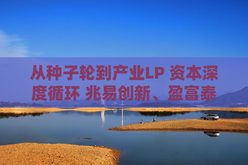 从种子轮到产业LP 资本深度循环 兆易创新、盈富泰克二十年“老友记”