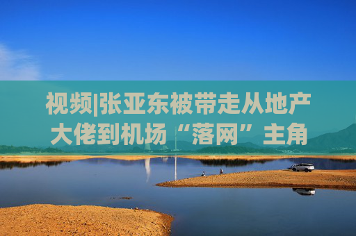 视频|张亚东被带走从地产大佬到机场“落网”主角