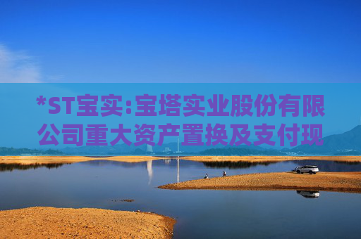 *ST宝实:宝塔实业股份有限公司重大资产置换及支付现金购买资产暨关联交易报告书（草案）摘要（修订稿）