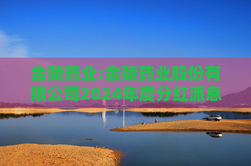 金陵药业:金陵药业股份有限公司2024年度分红派息实施公告