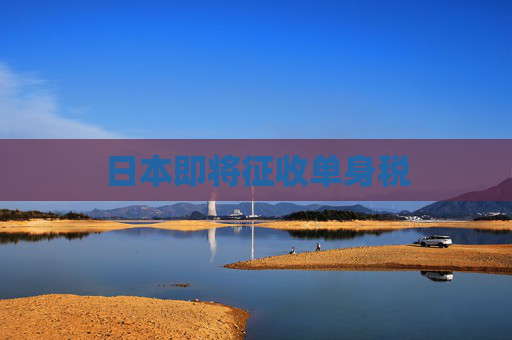 日本即将征收单身税