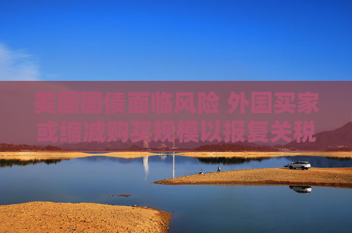 美国国债面临风险 外国买家或缩减购买规模以报复关税打击  第1张
