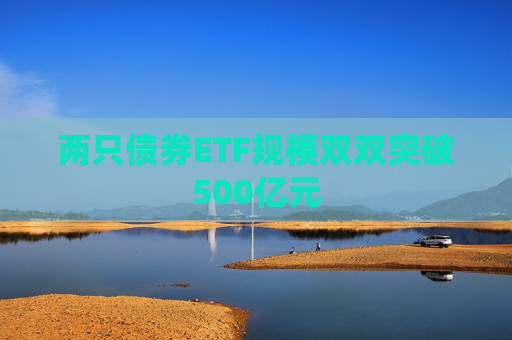 两只债券ETF规模双双突破500亿元