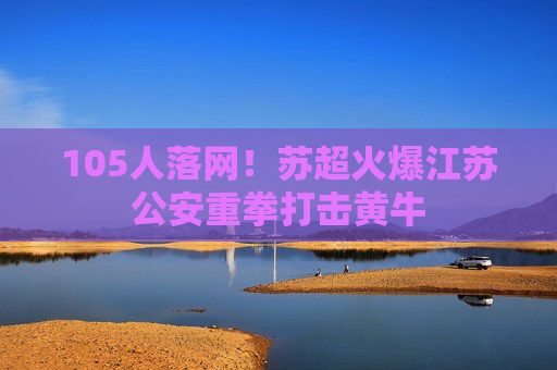 105人落网！苏超火爆江苏公安重拳打击黄牛