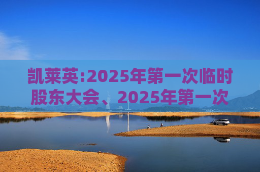 凯莱英:2025年第一次临时股东大会、2025年第一次A股类别股东大会及2025年第一次H股类别股东大会决议公告  第1张