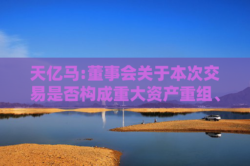 天亿马:董事会关于本次交易是否构成重大资产重组、关联交易及重组上市的说明