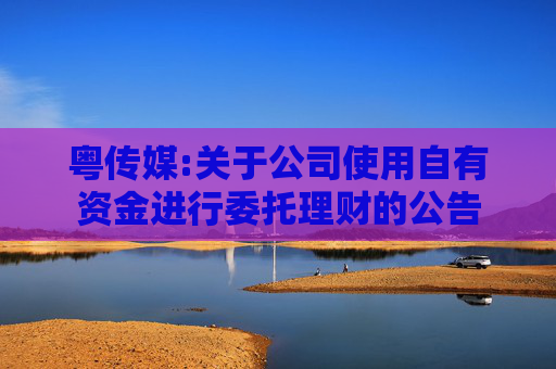 粤传媒:关于公司使用自有资金进行委托理财的公告